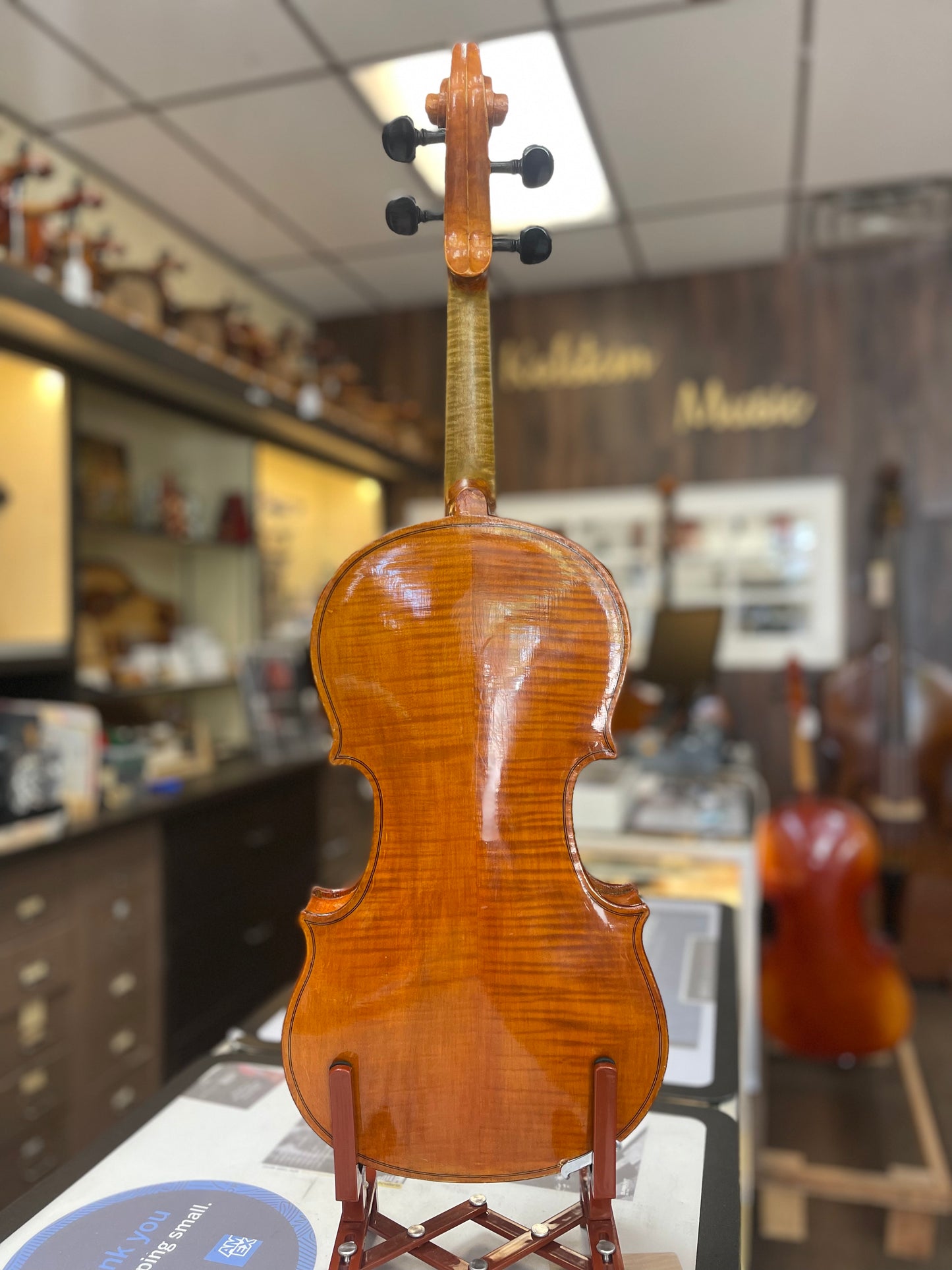 Nuiperi Viola 16 5/8”