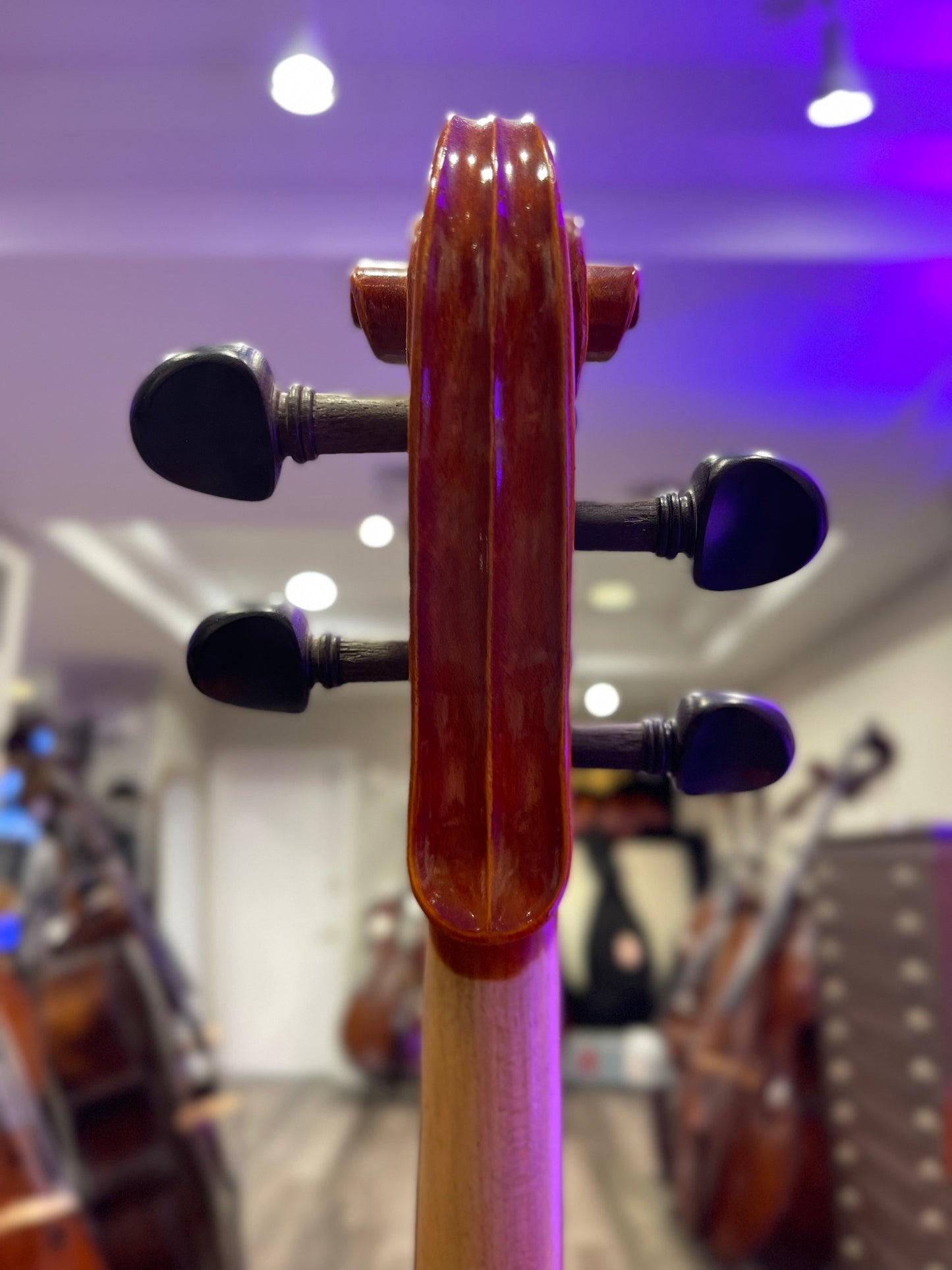 Liandro DiVacenza Model 40 15 1/2” Violin
