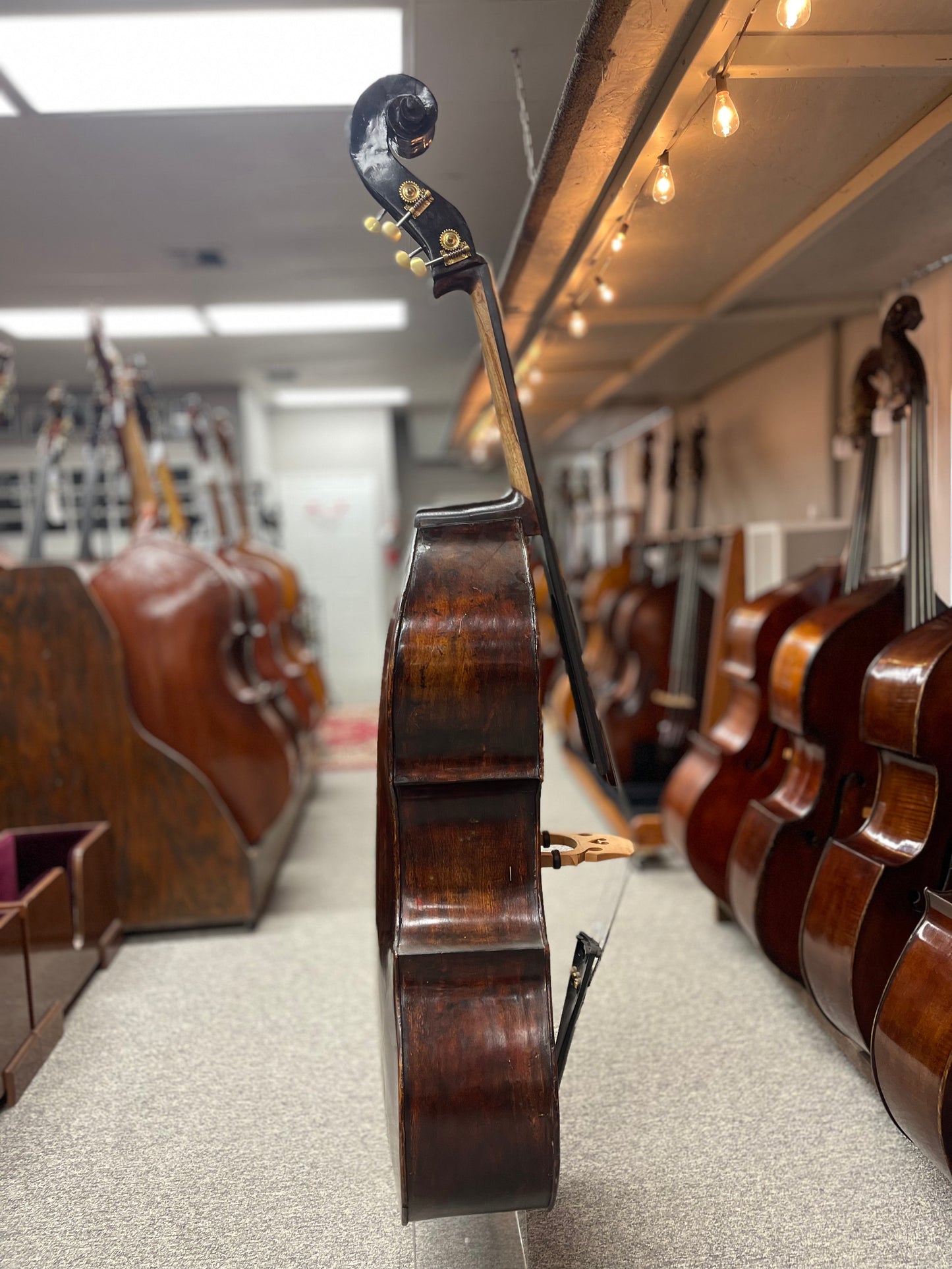 Eastern European Italian Style Bass