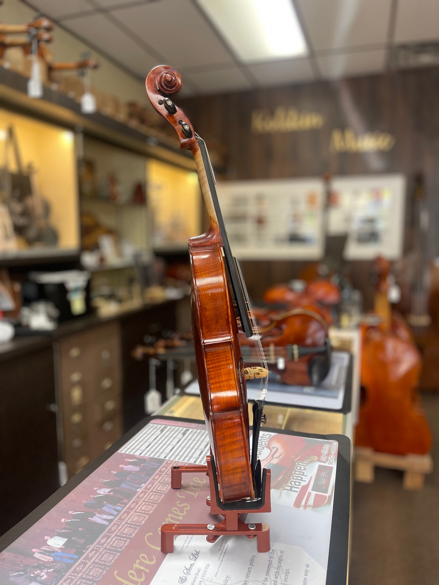 Liandro DiVacenza 15” DVA100 Viola