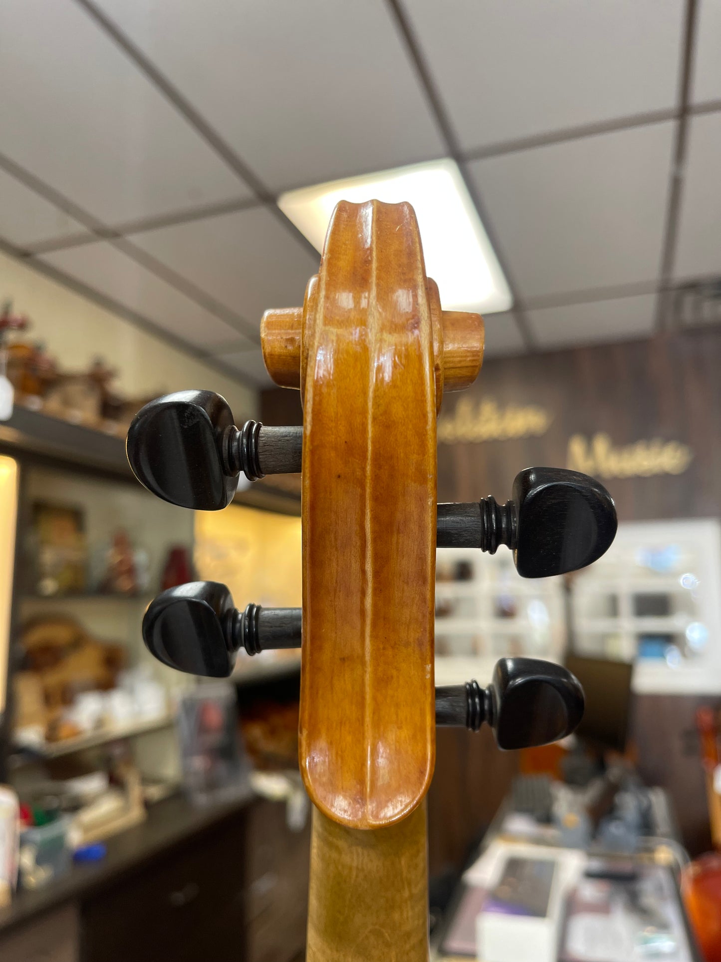 Nuiperi Viola 16 5/8”
