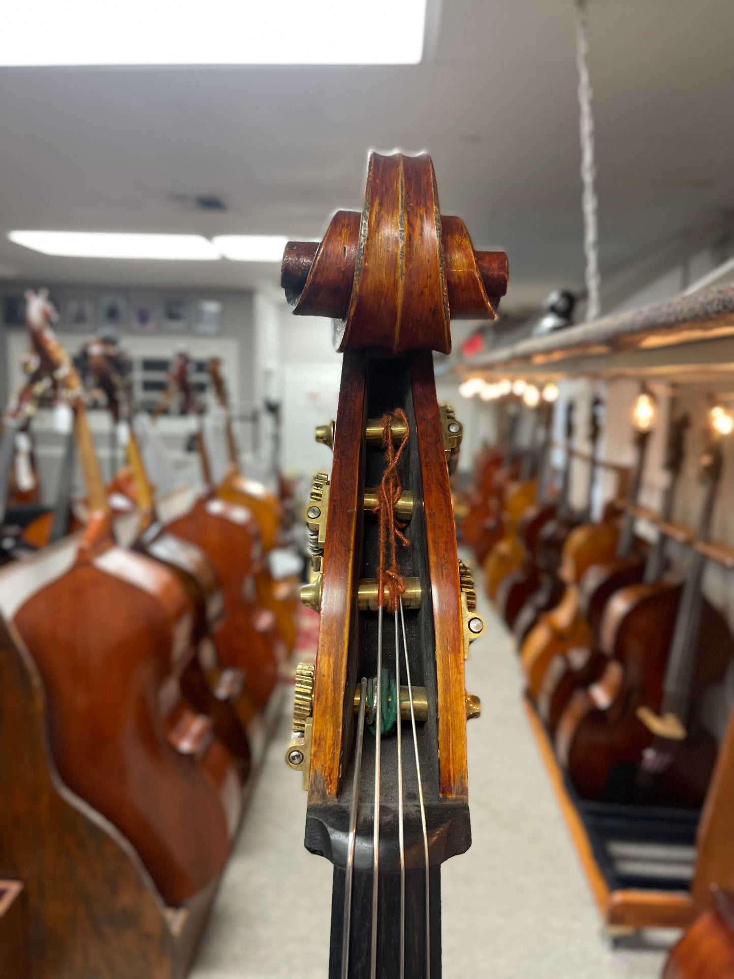 Feher Deszo Copy Bass