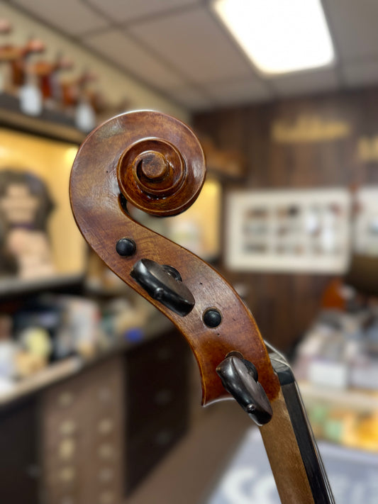 Kolstein Amati Model Viola