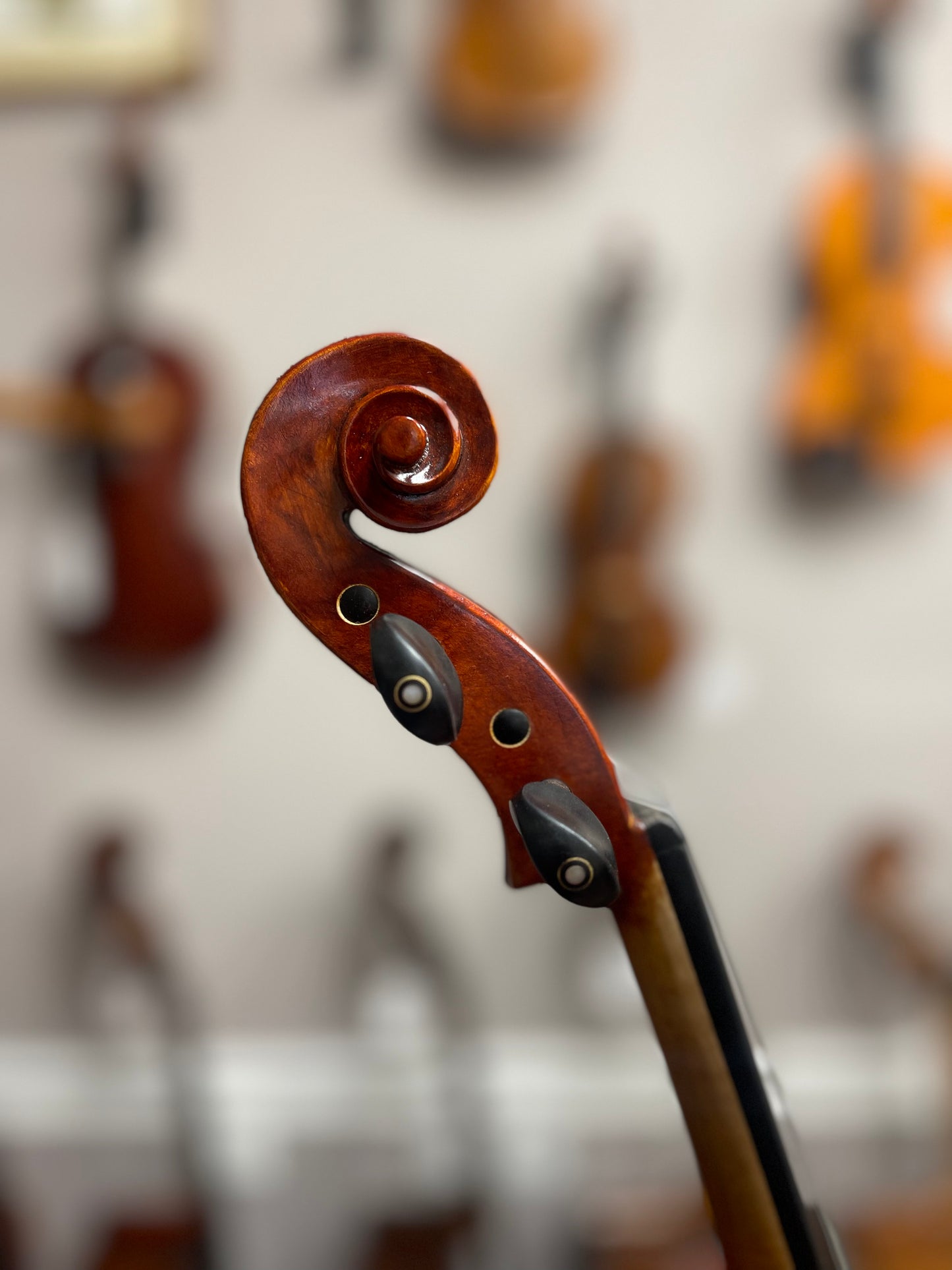 Liandro Divacenza DV300 Violin