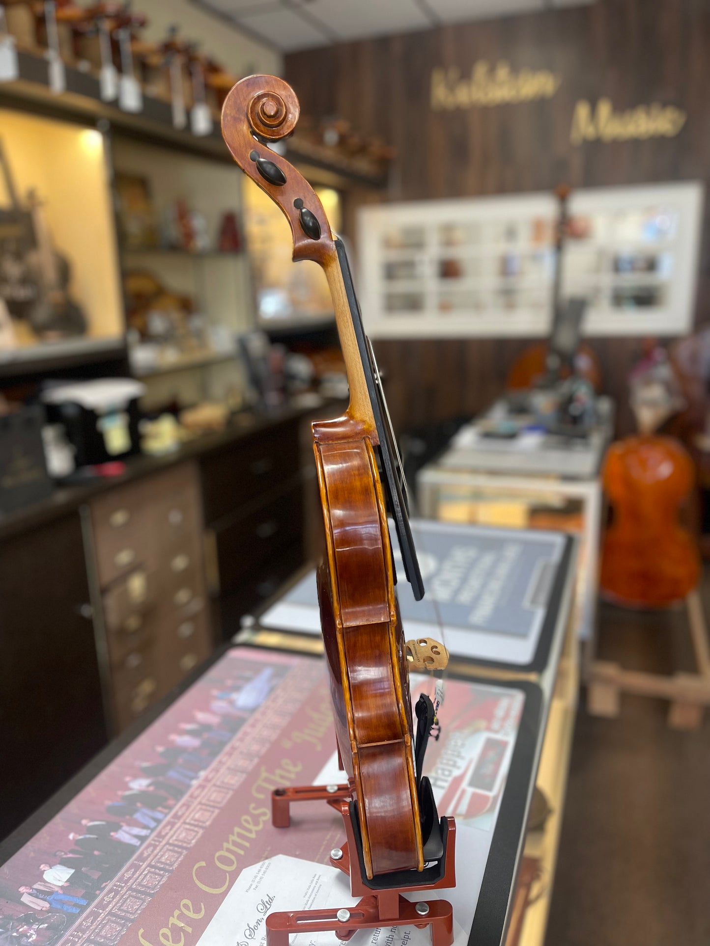 Liandro DiVacenza 15” Viola