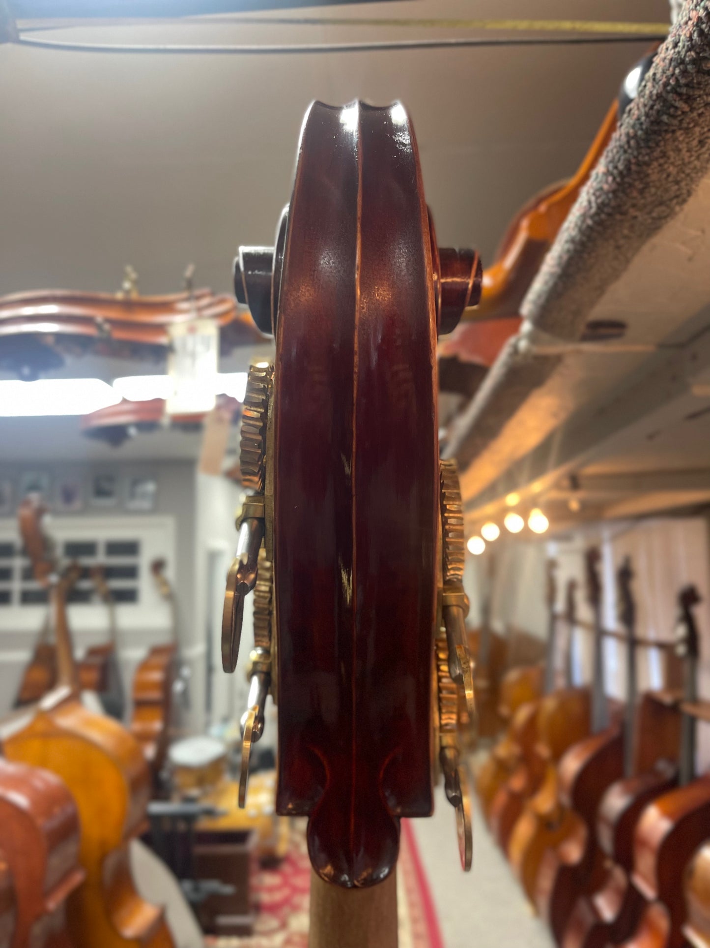 Liandro DiVacenza Ceruti Bass