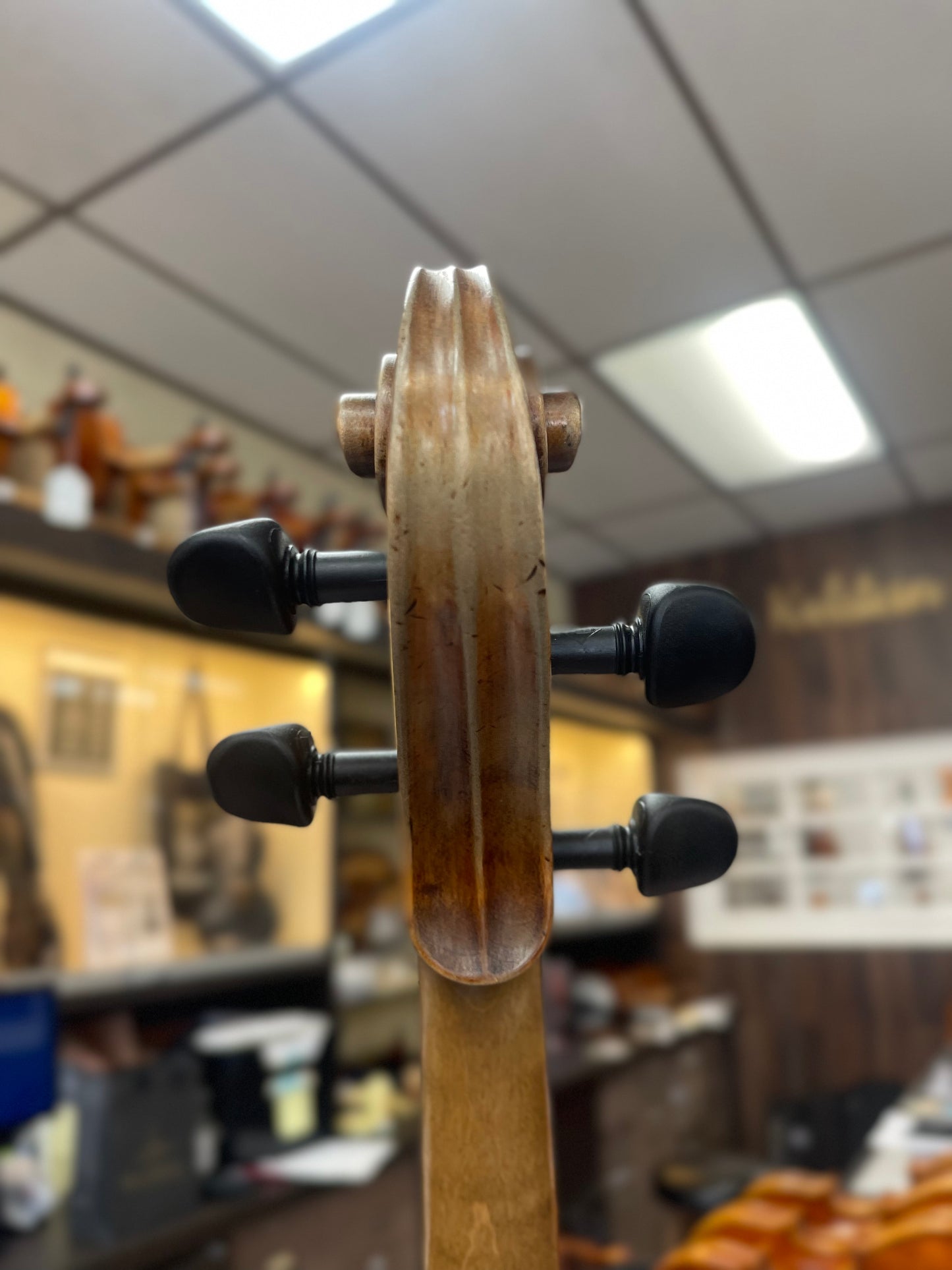 Mairead Nesbitt Albani Violin