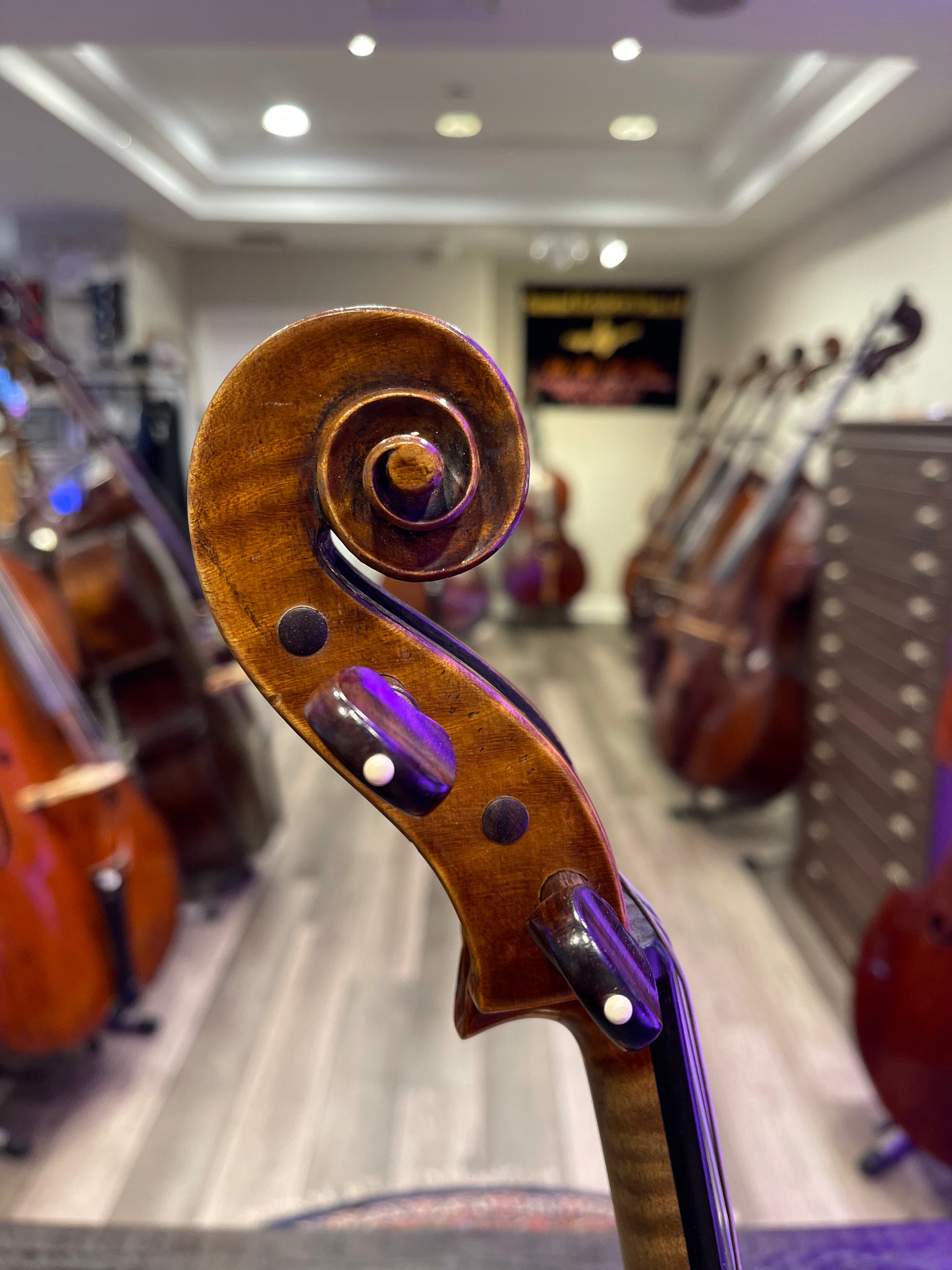 Wilhelm Bruckner 15 1/2” Viola