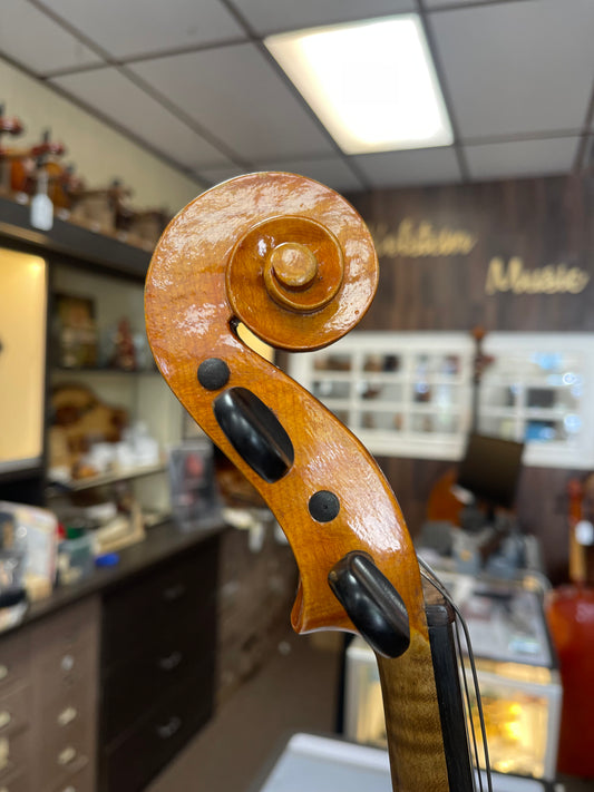 Italian Nuiperi Viola