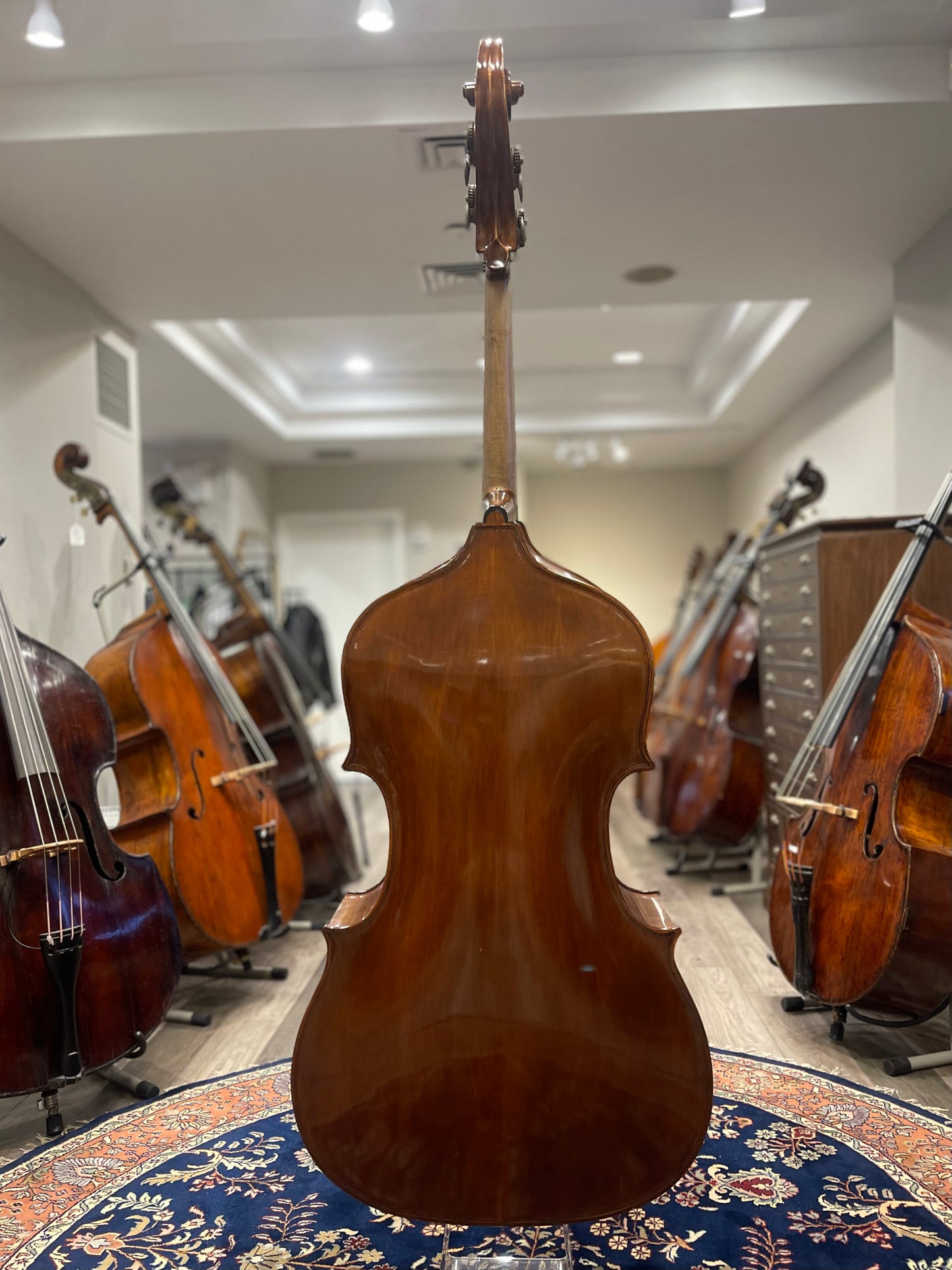 Luigi Chiericato Copy Bass