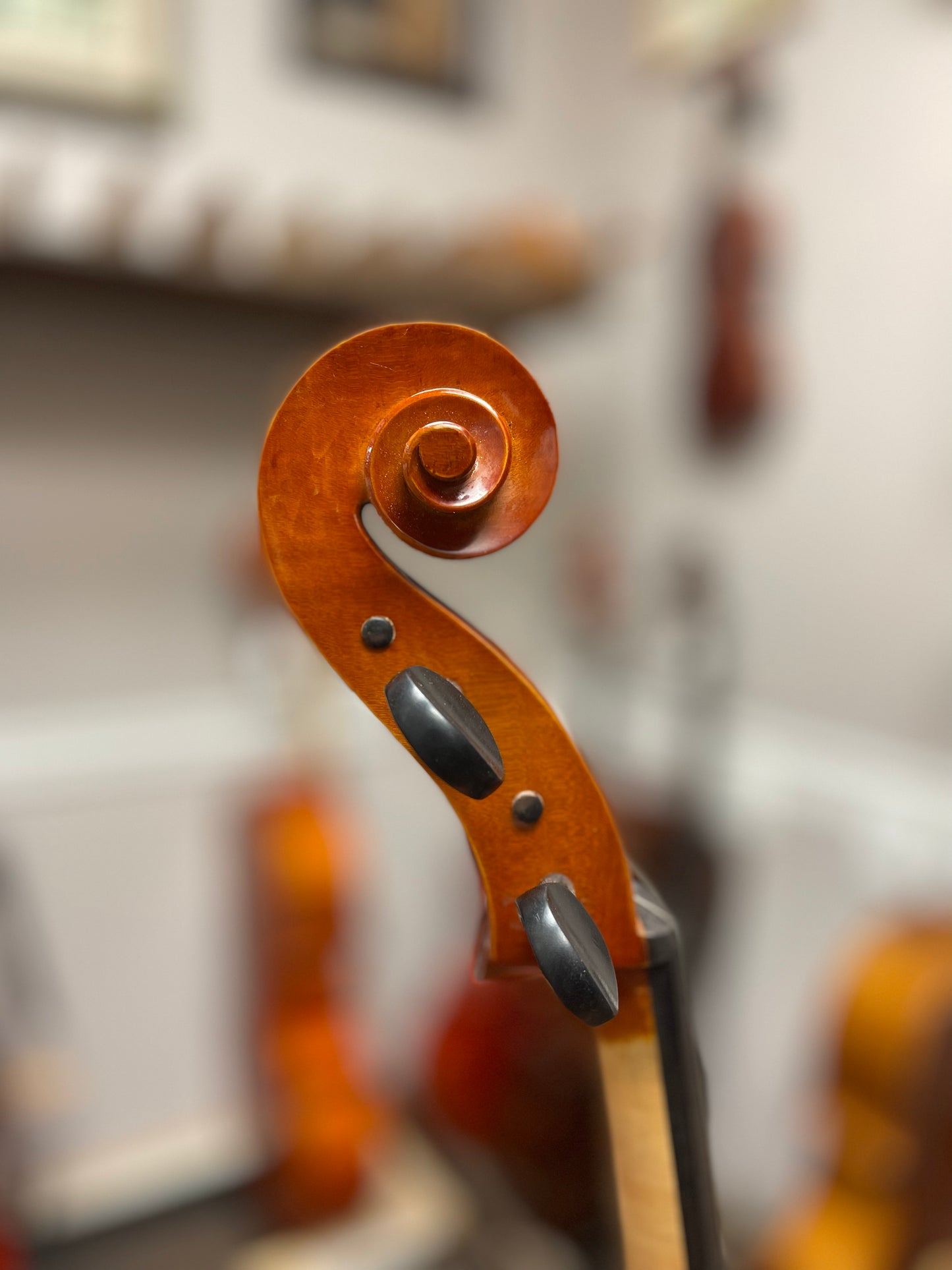 Liandro DiVacenza DC200 Cello