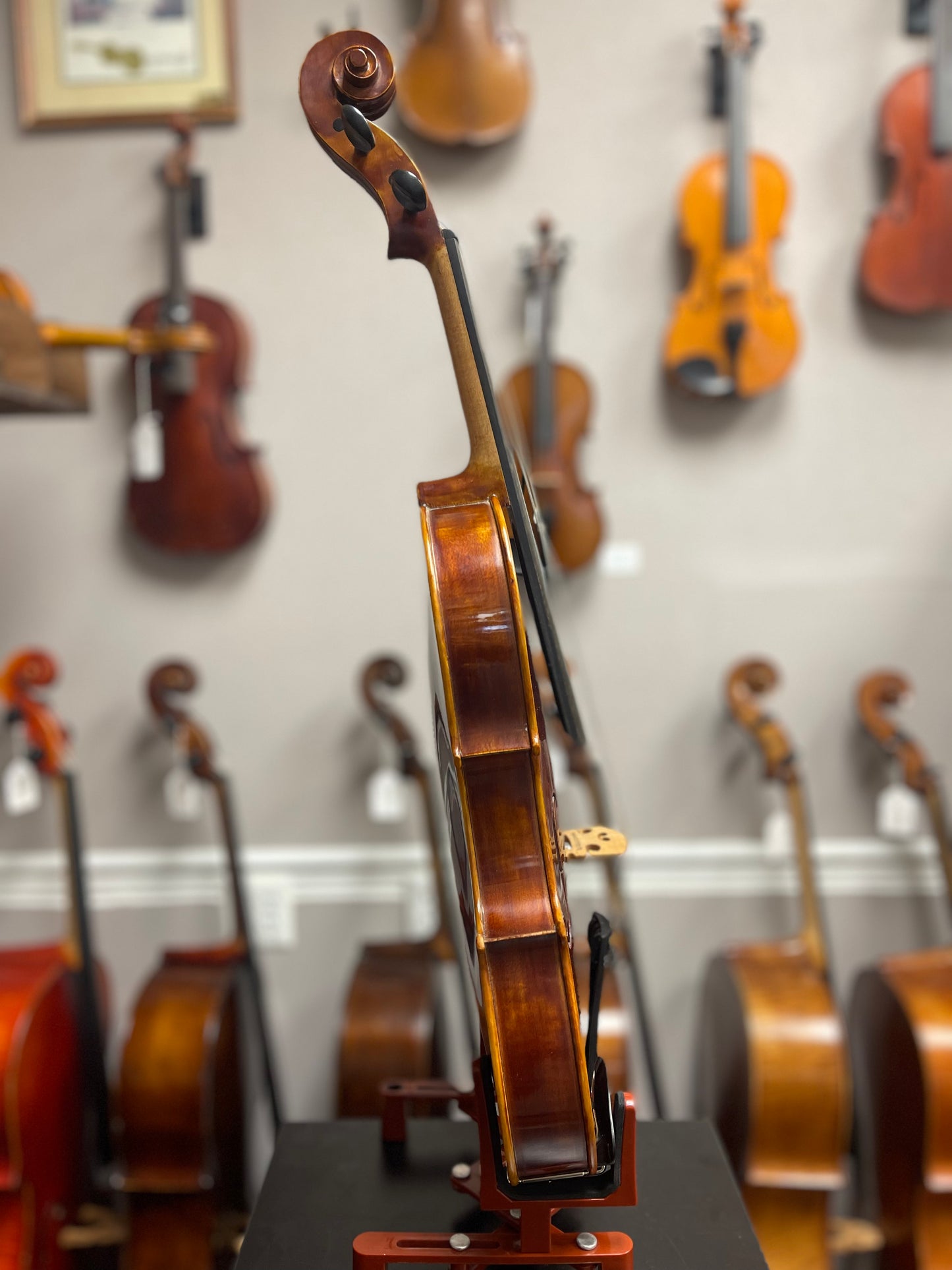 Liandro DiVacenza DVA50 15.5” Viola