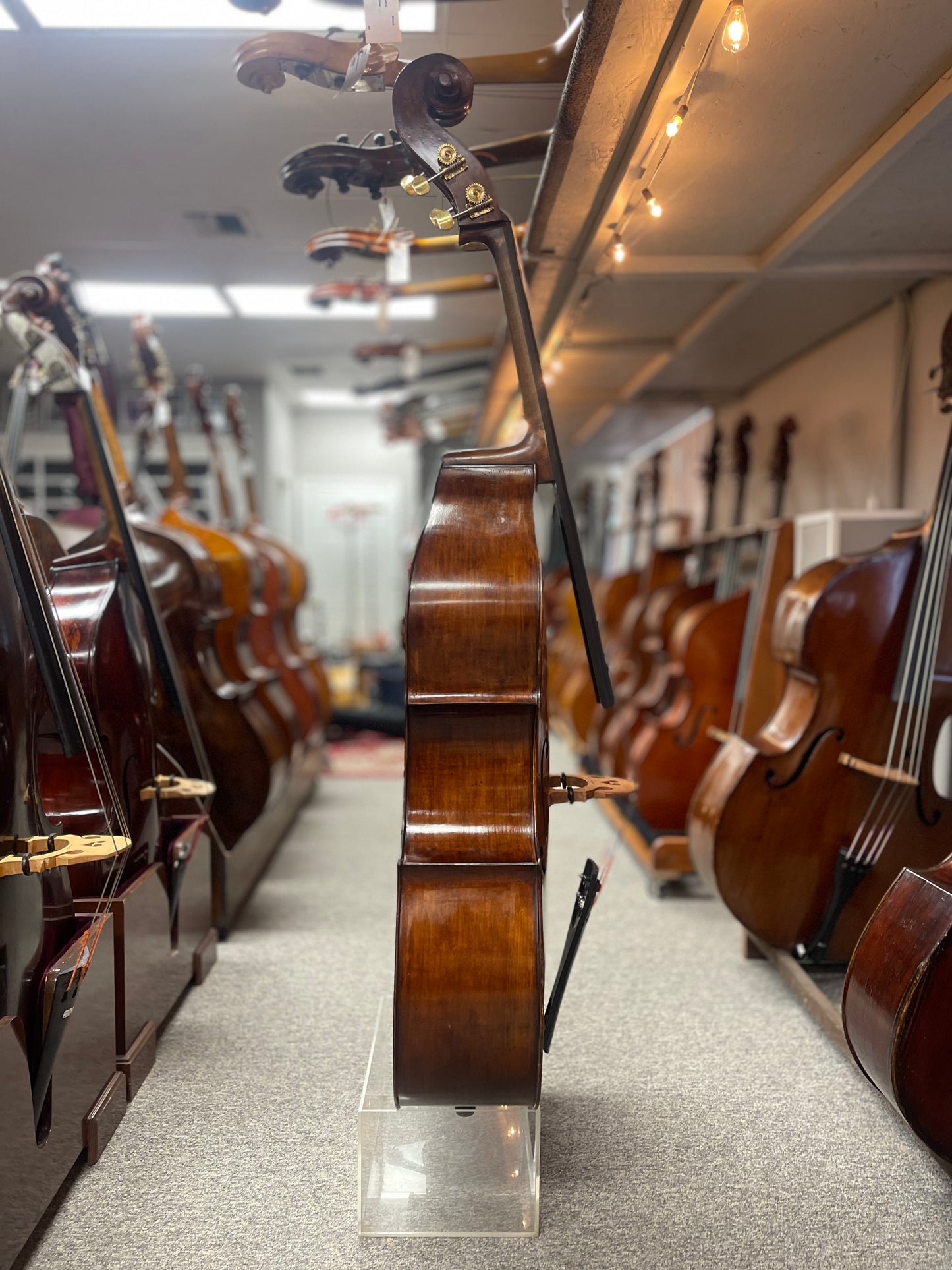 Kolstein Elite Fendt Model Bass