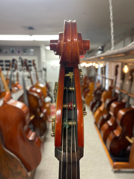 Liandro DiVacenza Orchestral Bass