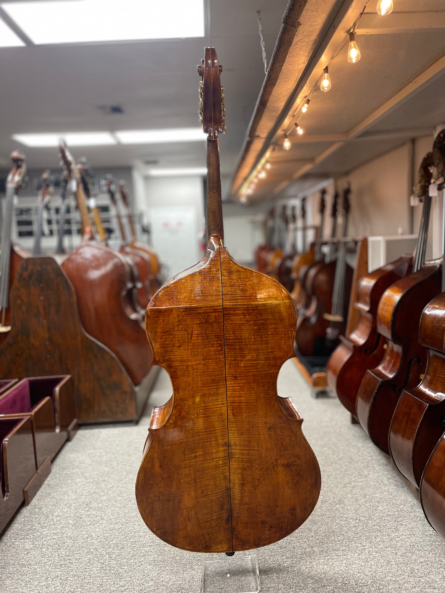 19th Century European Bass
