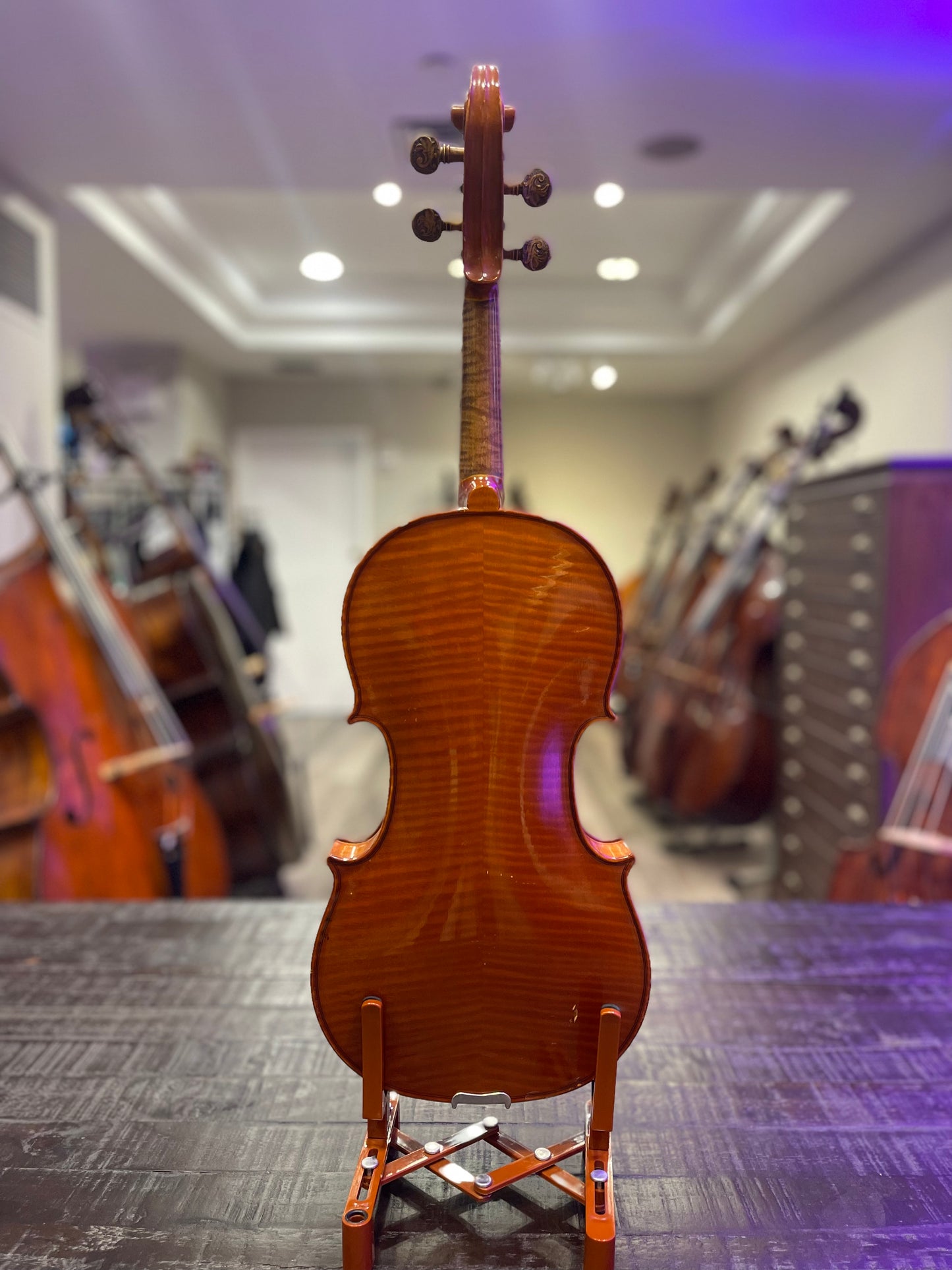 Umberlo Lanaro Viola