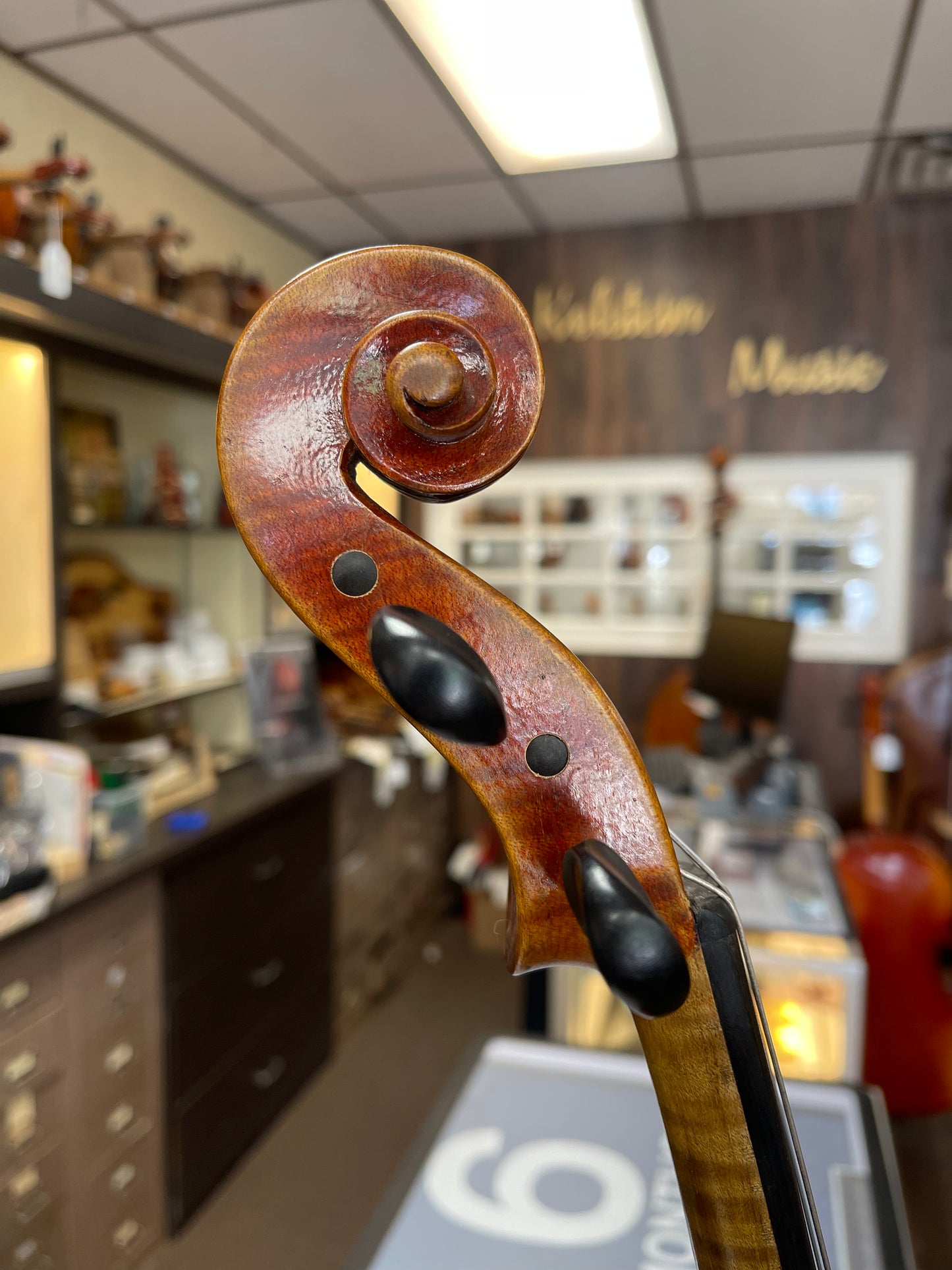 Liandro DiVacenza DVA600 Model 15.5” Viola