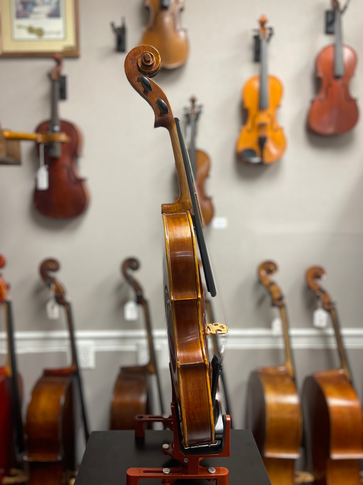 Liandro DiVacenza DVA50 15" Viola