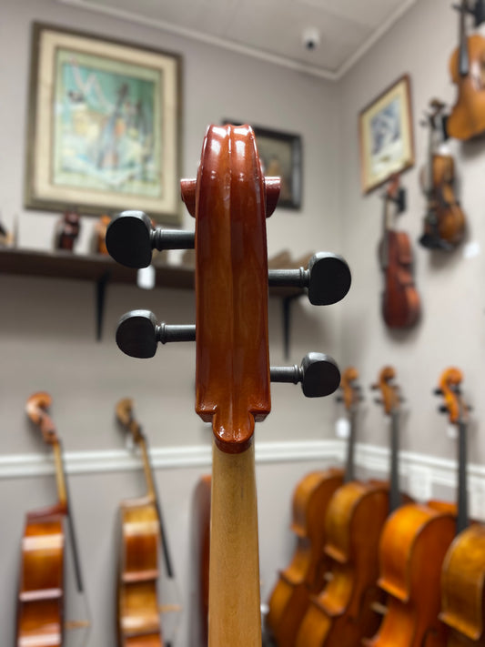 Liandro DiVacenza Model Cello DC300