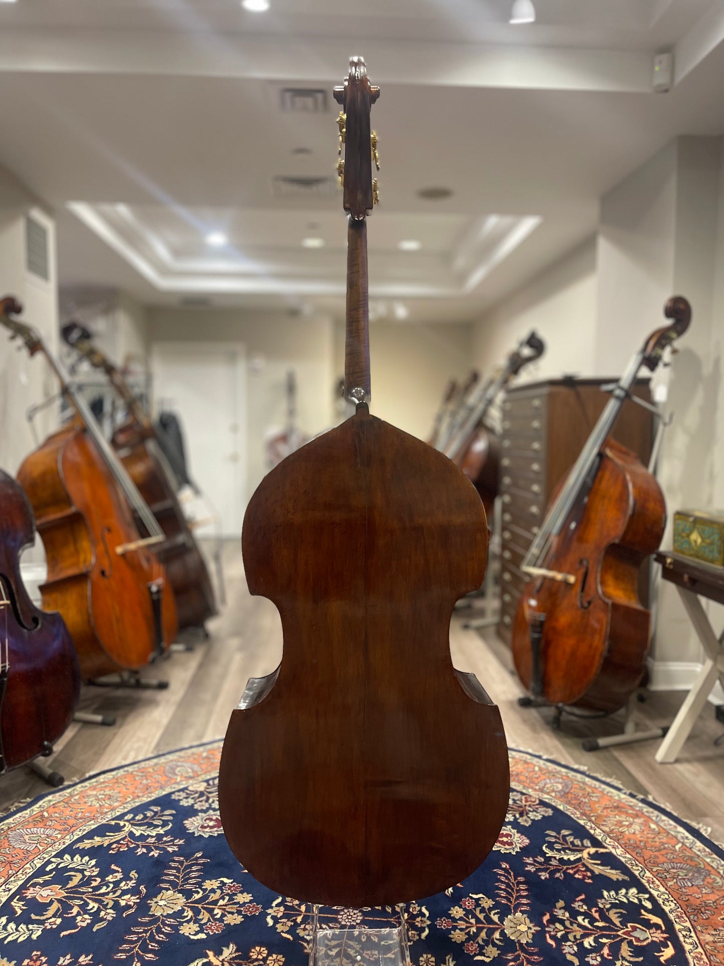 Monzino Gamba Shaped Flat Back Bass