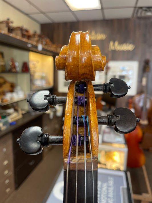 Nupieri Viola 16 5/8”