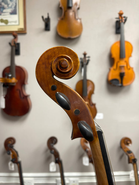 Liandro DiVacenza DVA50 15" Viola