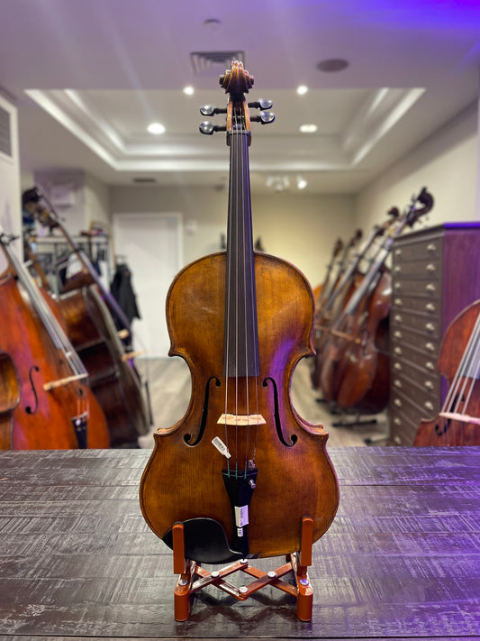 Modern Neopolitan Viola