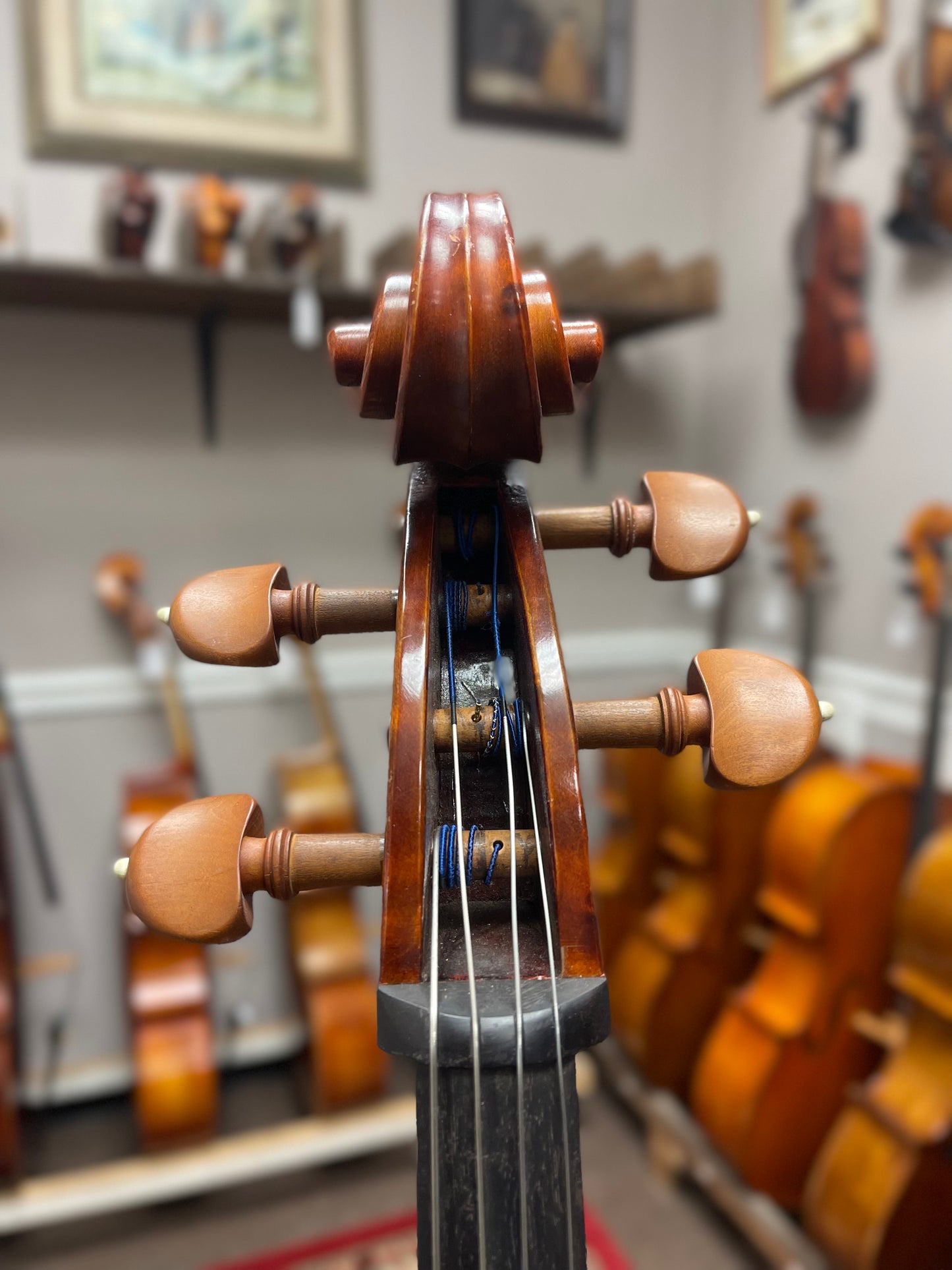 Havivi Cello