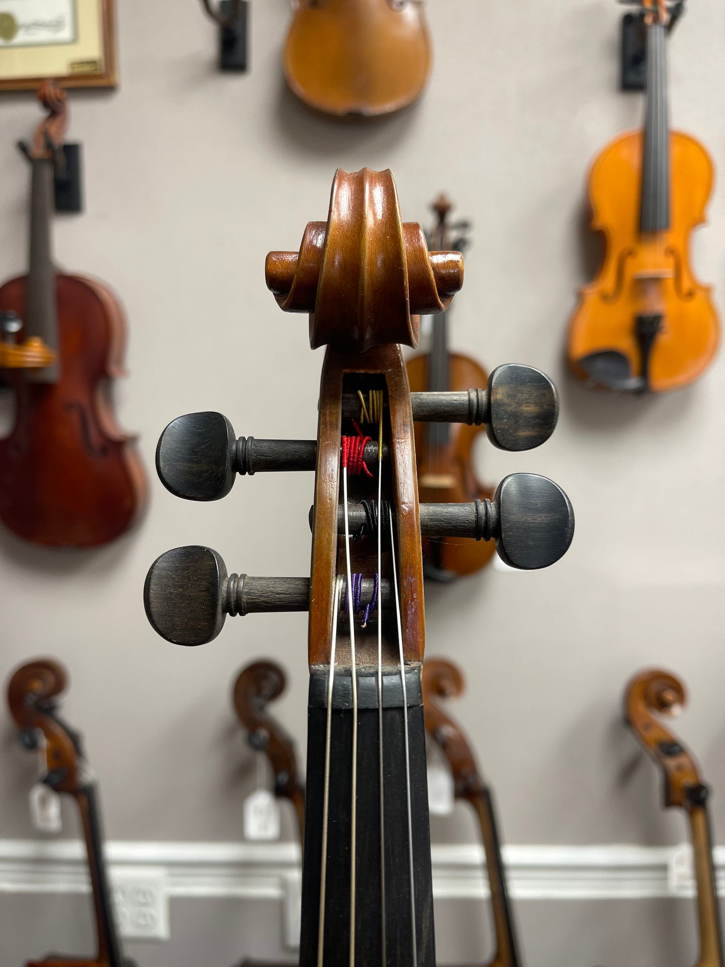 Liandro DiVacenza 15" Viola DVA100