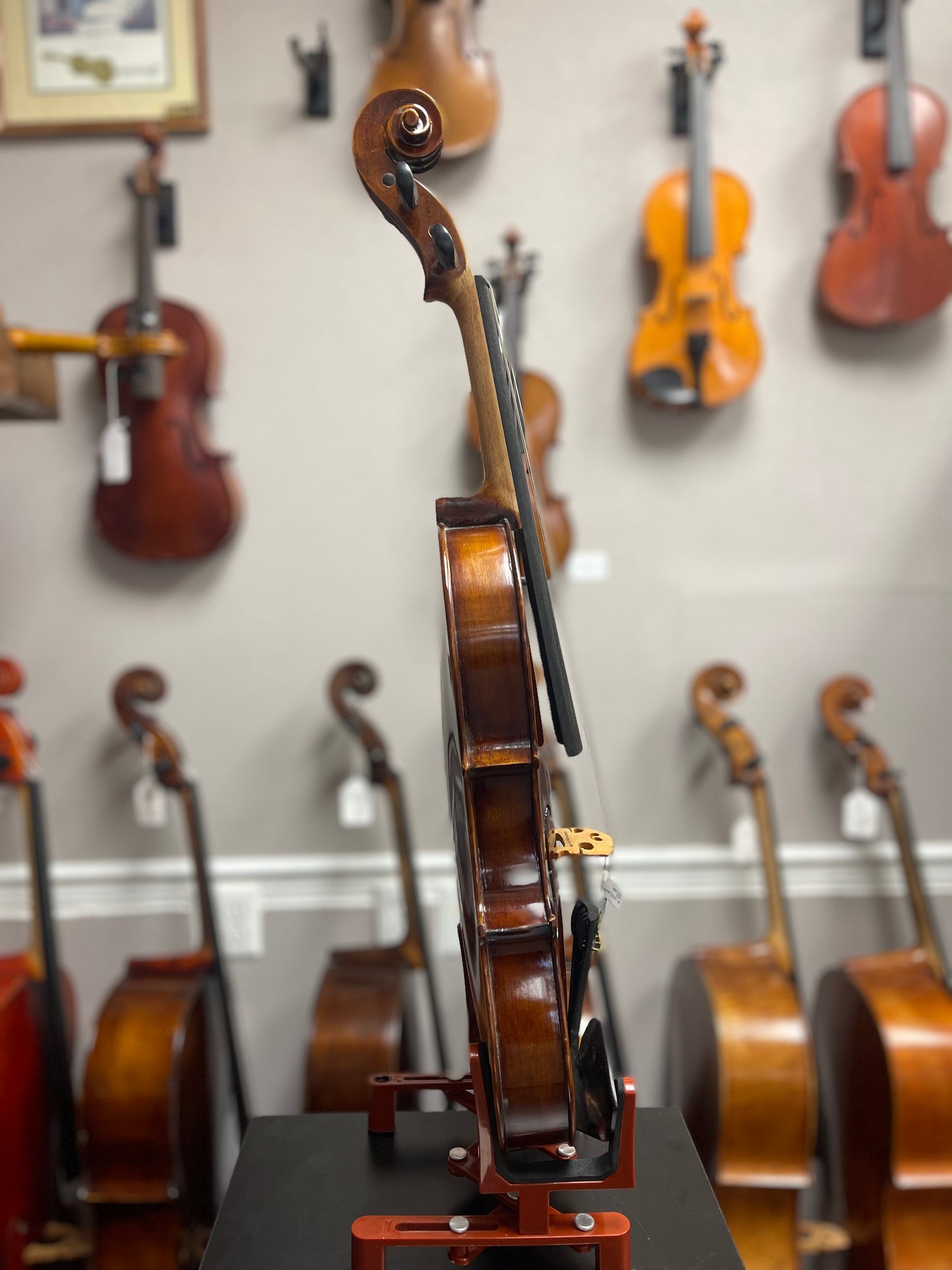 Liandro DiVacenza 15" DVA40 Viola