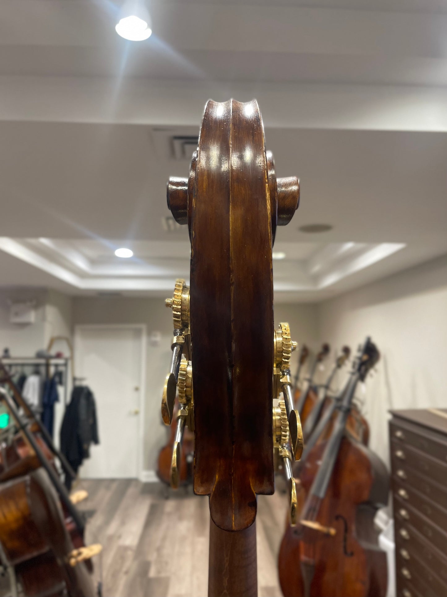 Kolstein Elite Fendt Model Bass