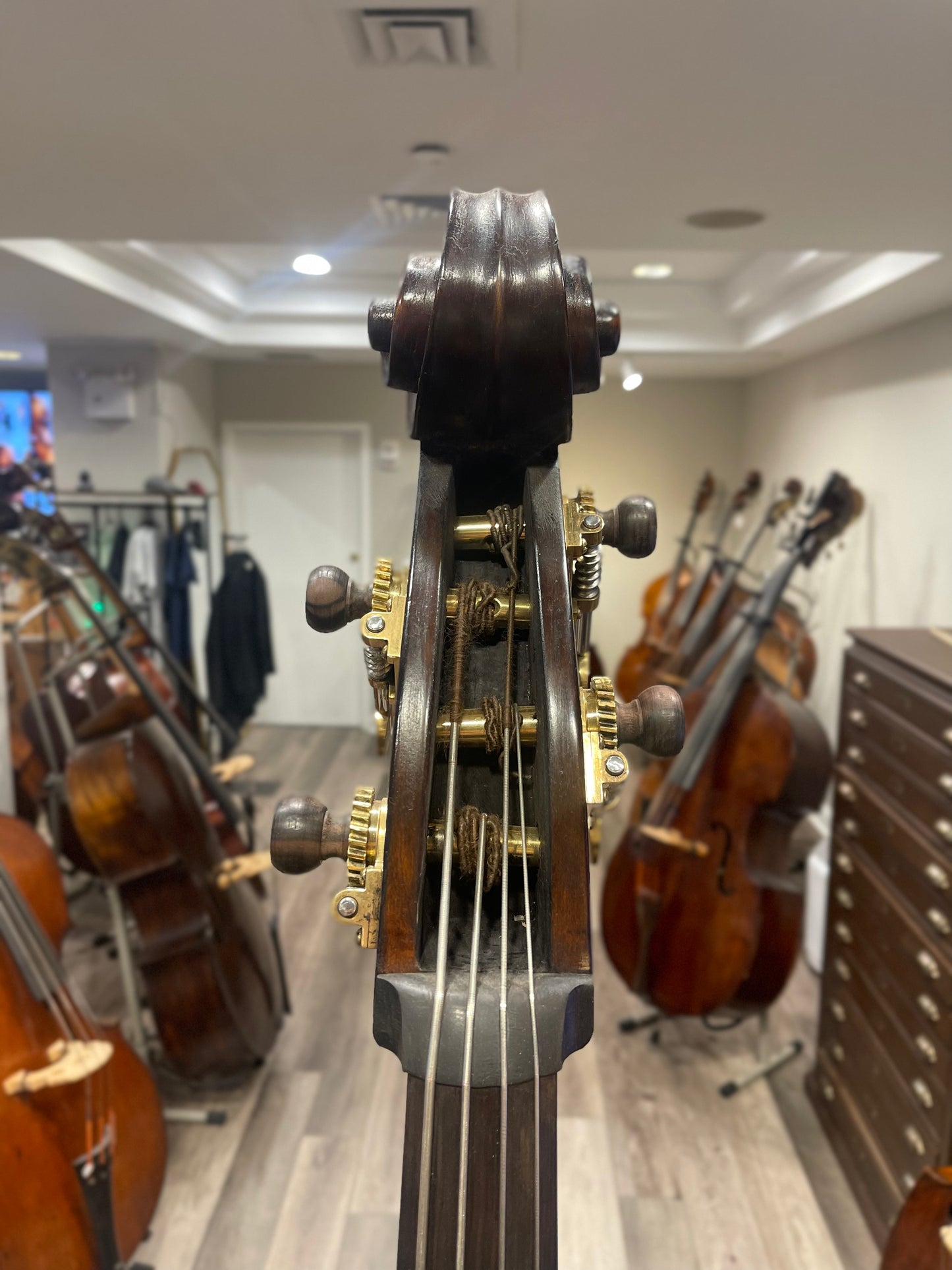 Prague Juzek Major Holley Bass