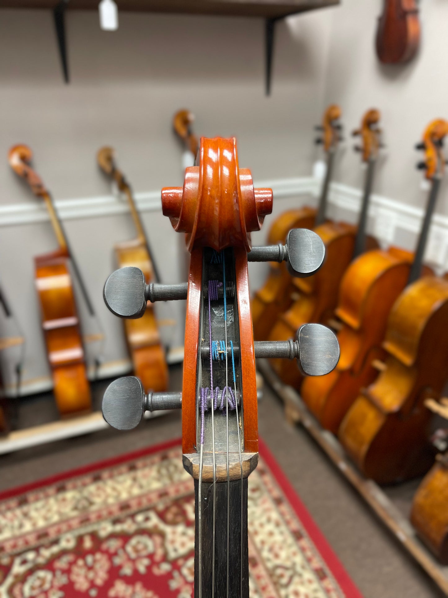 Liandro DiVacenza Model Cello DC300