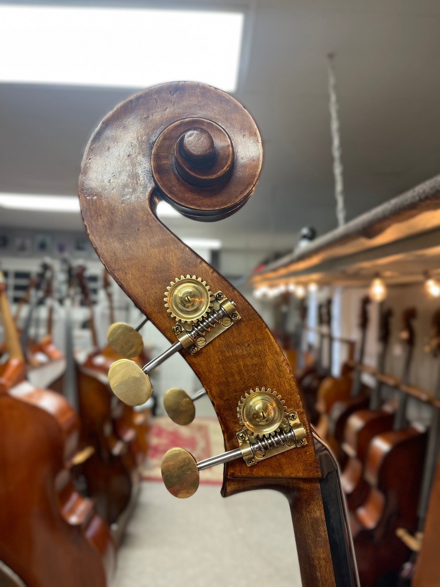 Kolstein Guarneri Model Bass