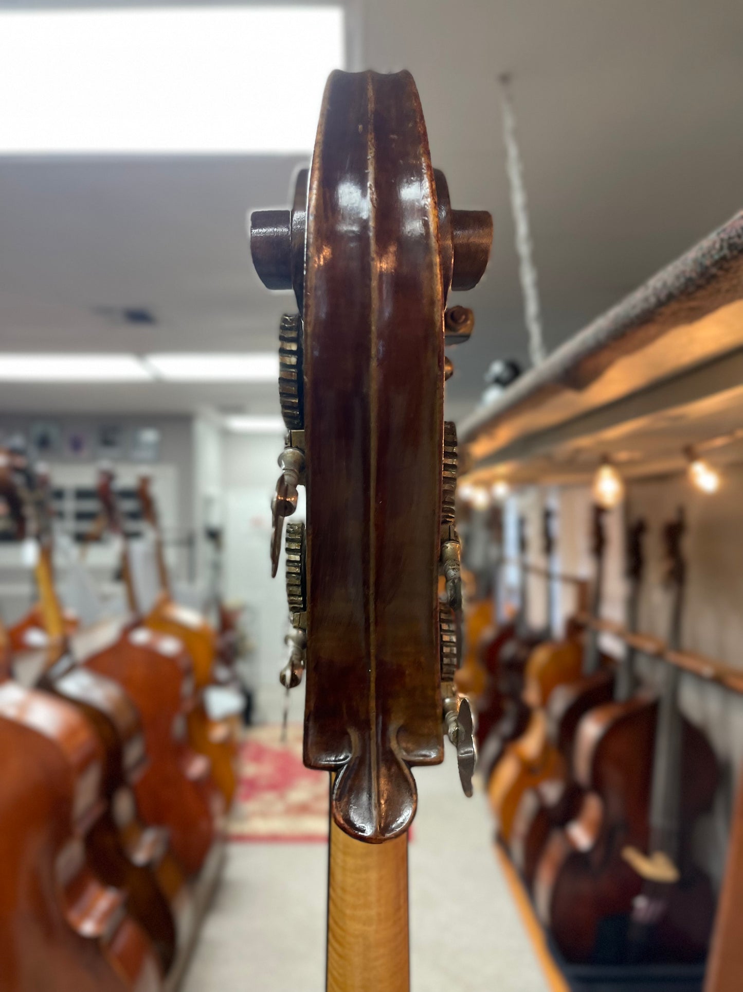 Samuel Kolstein Panormo Bass