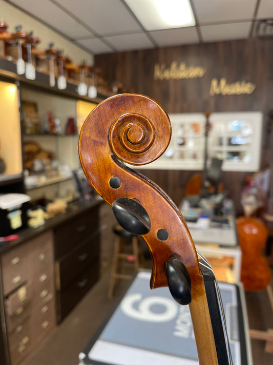 Liandro DiVacenza 15” Viola