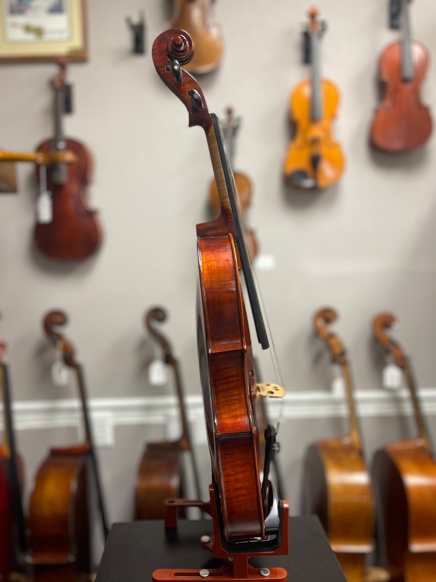 Liandro DiVacenza DVA50 15" Viola