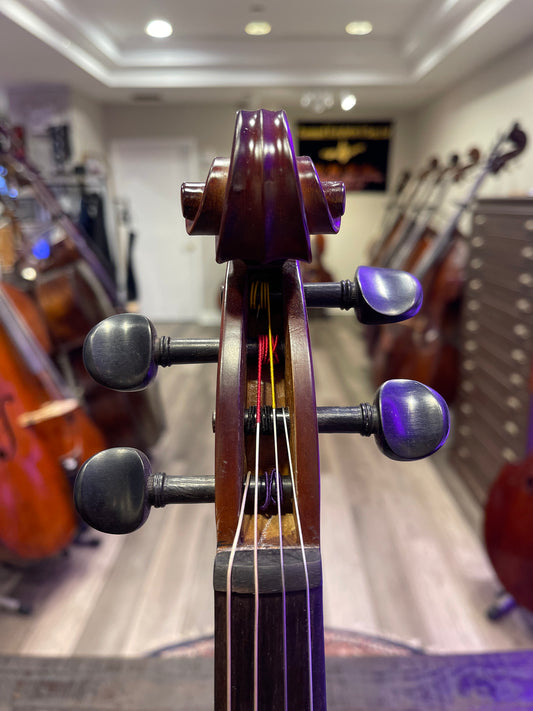 Liandro DiVacenza DVA25 15 1/2” Viola