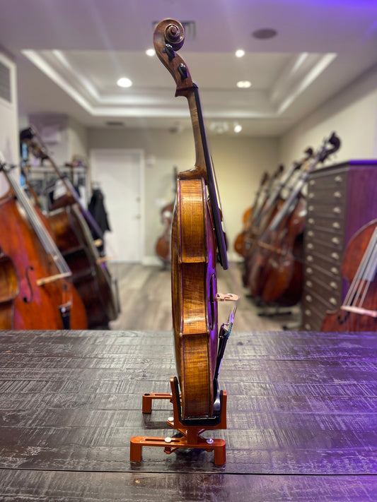 Modern Neopolitan Viola