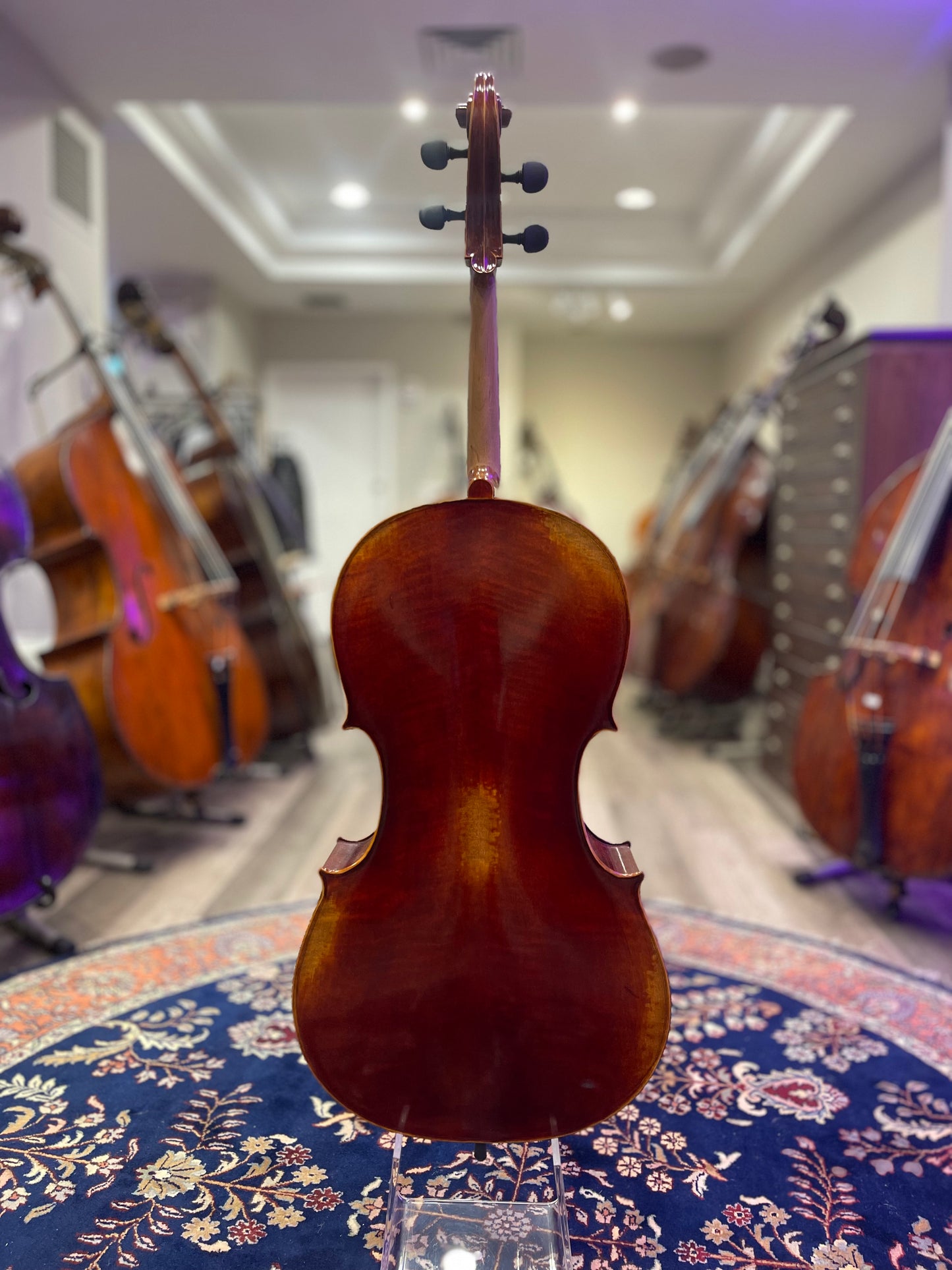 Liandro DiVacenza Model DC300