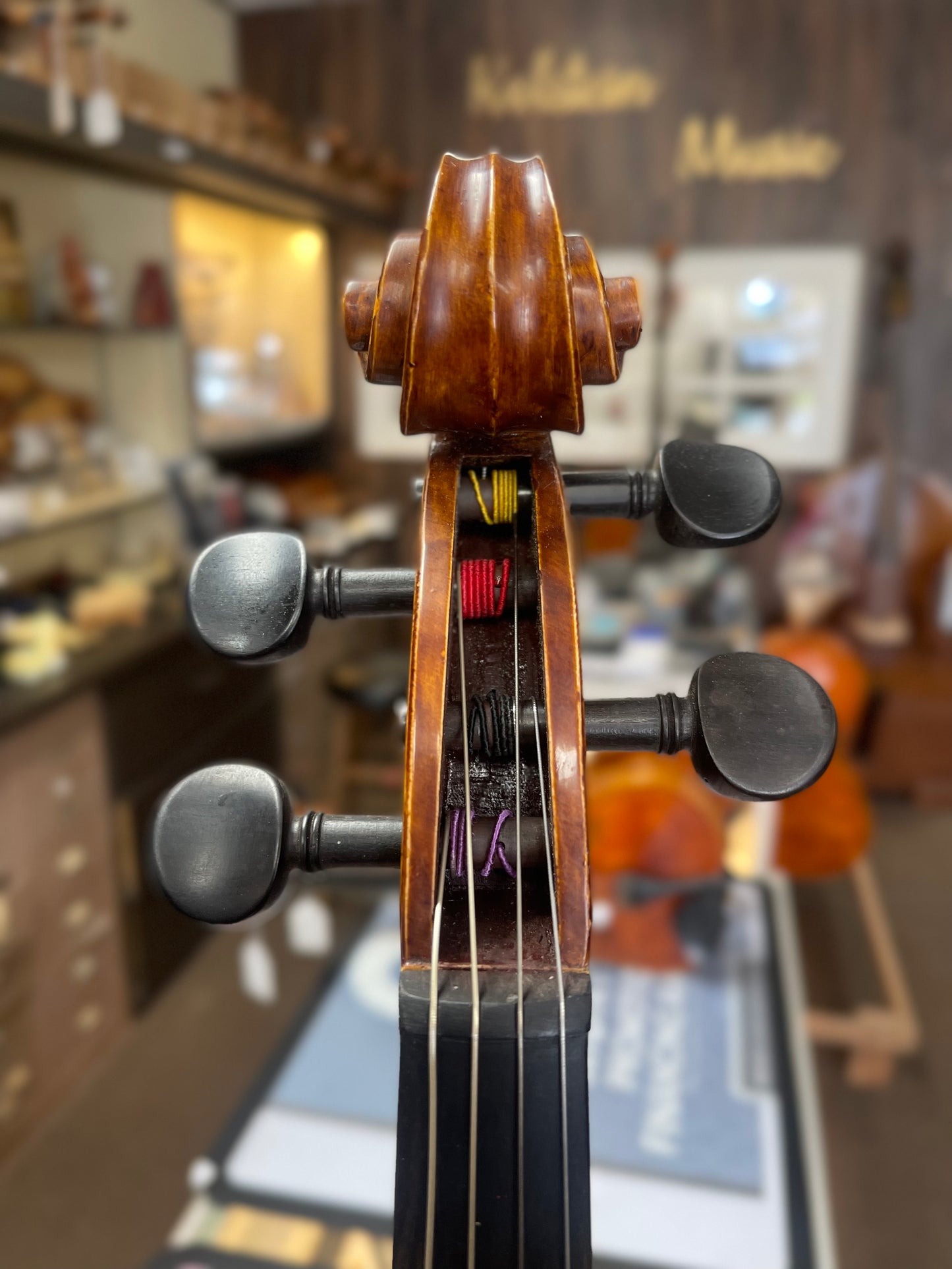 Liandro DiVacenza DVA50 15” Viola