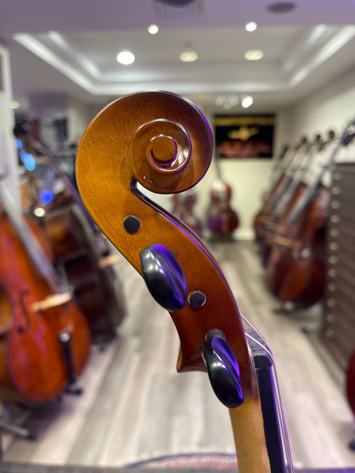Liandro DiVacenza DVA25 15 1/2” Viola