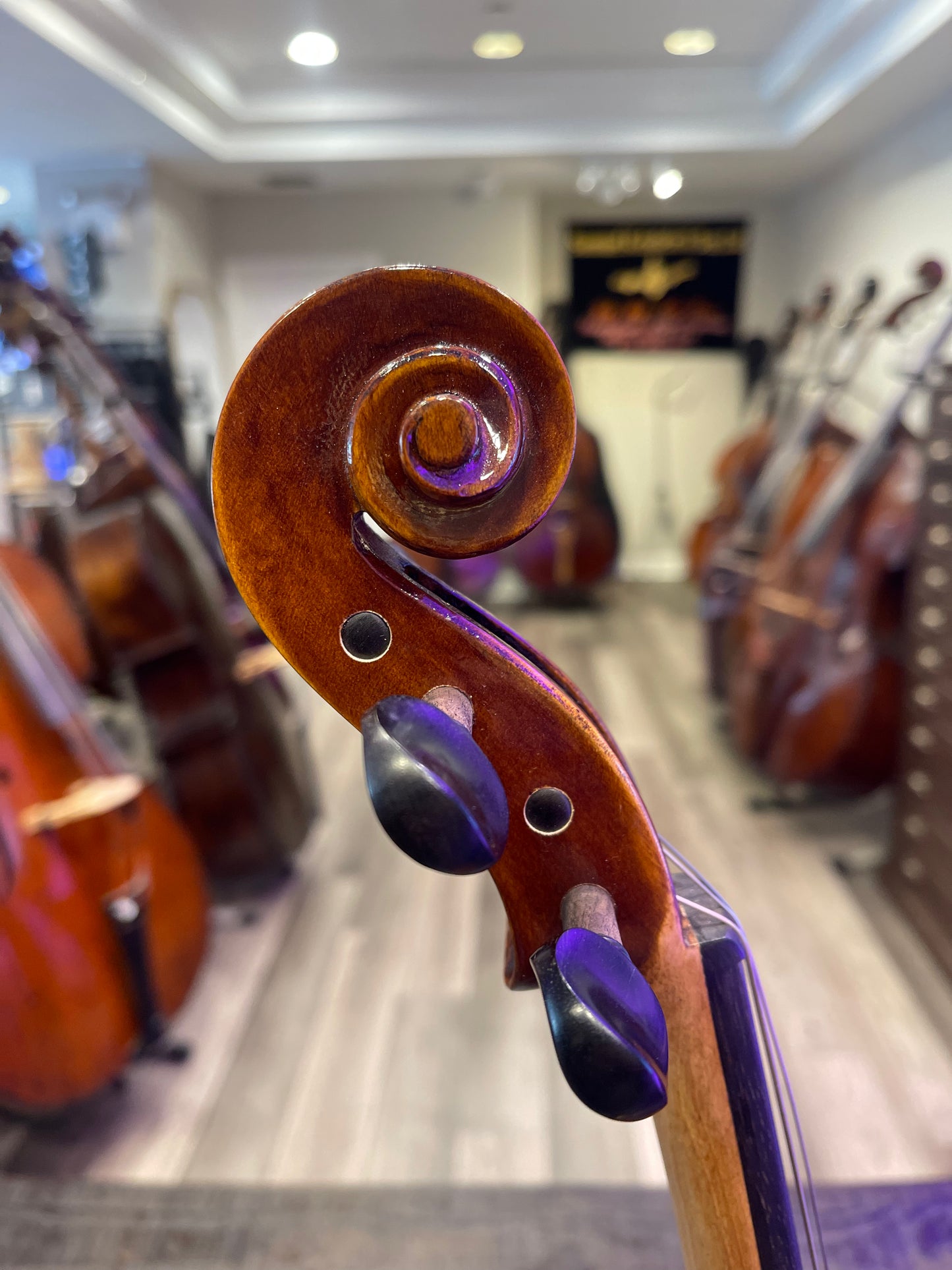 Liandro DiVacenza Model 40 15 1/2” Viola