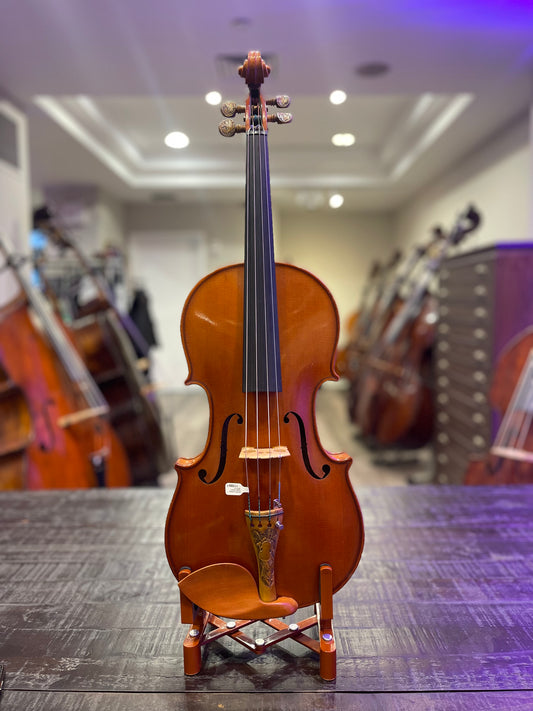 Umberlo Lanaro Viola