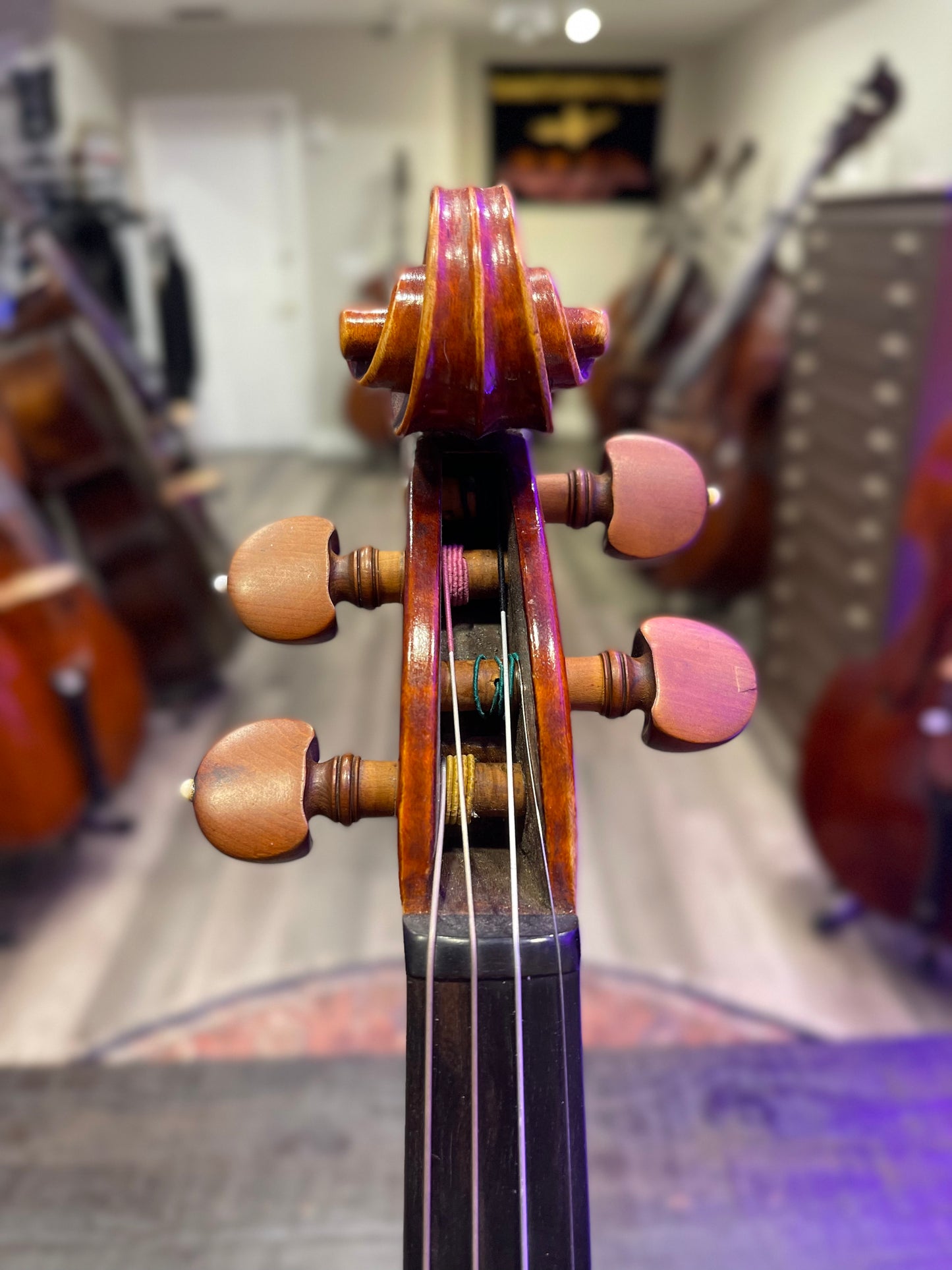 Attributed Bisiach Violin