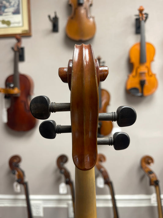 Liandro DiVacenza 15" Viola DVA100