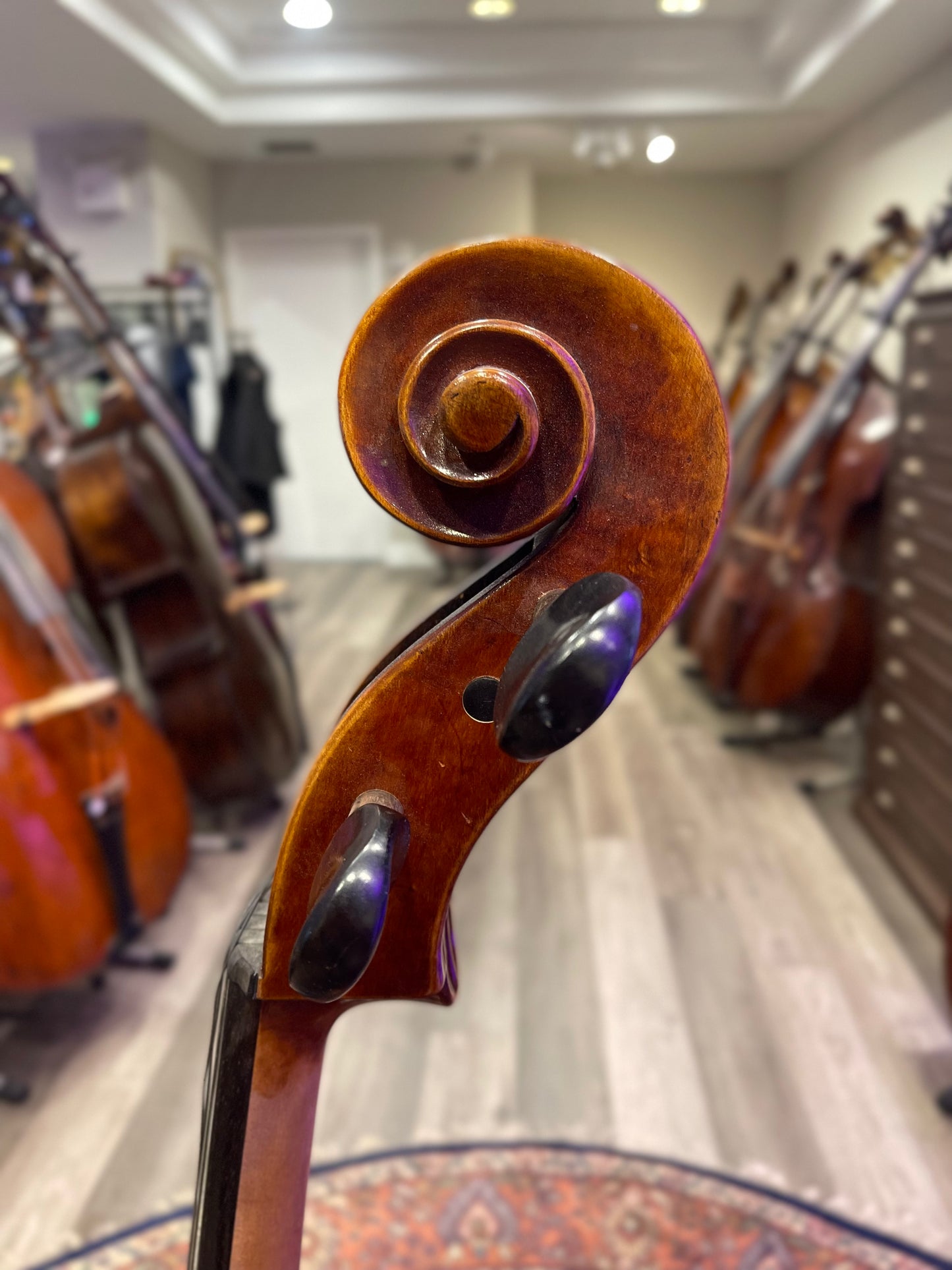 Liandro DiVacenza Model 300