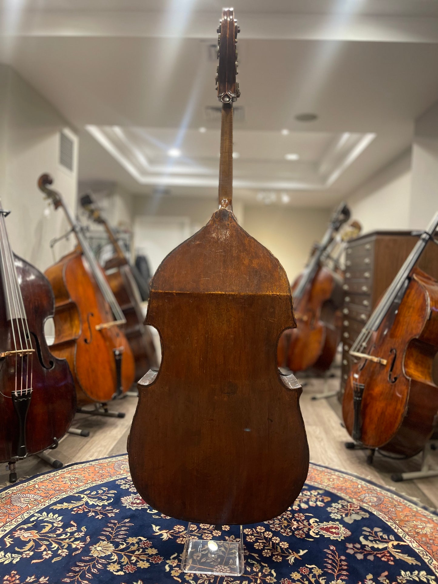 Lorenzo Carcassi Bass