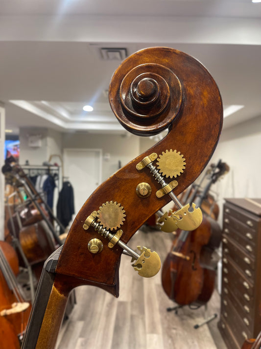 Kolstein Maggini Bass