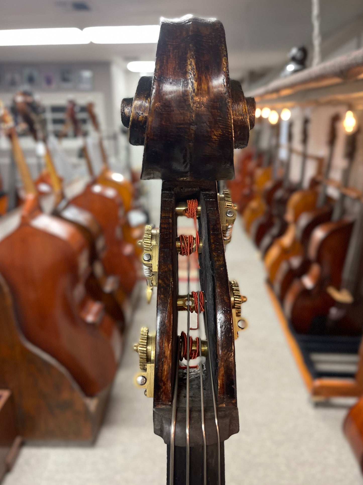 Eastern European Italian Style Bass